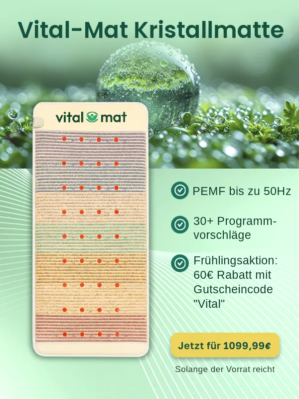 Startseite Mobile 2