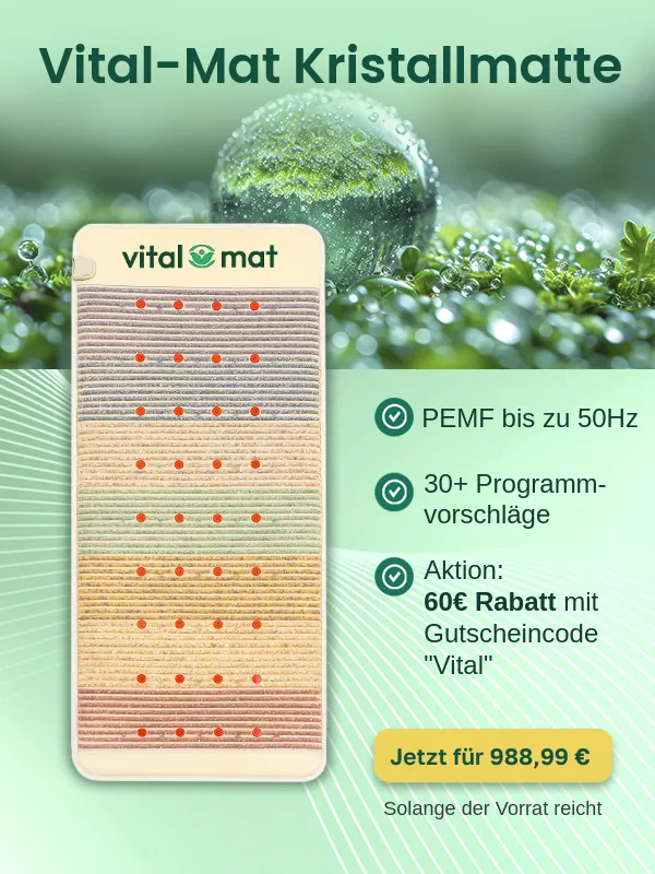 Mobile 2